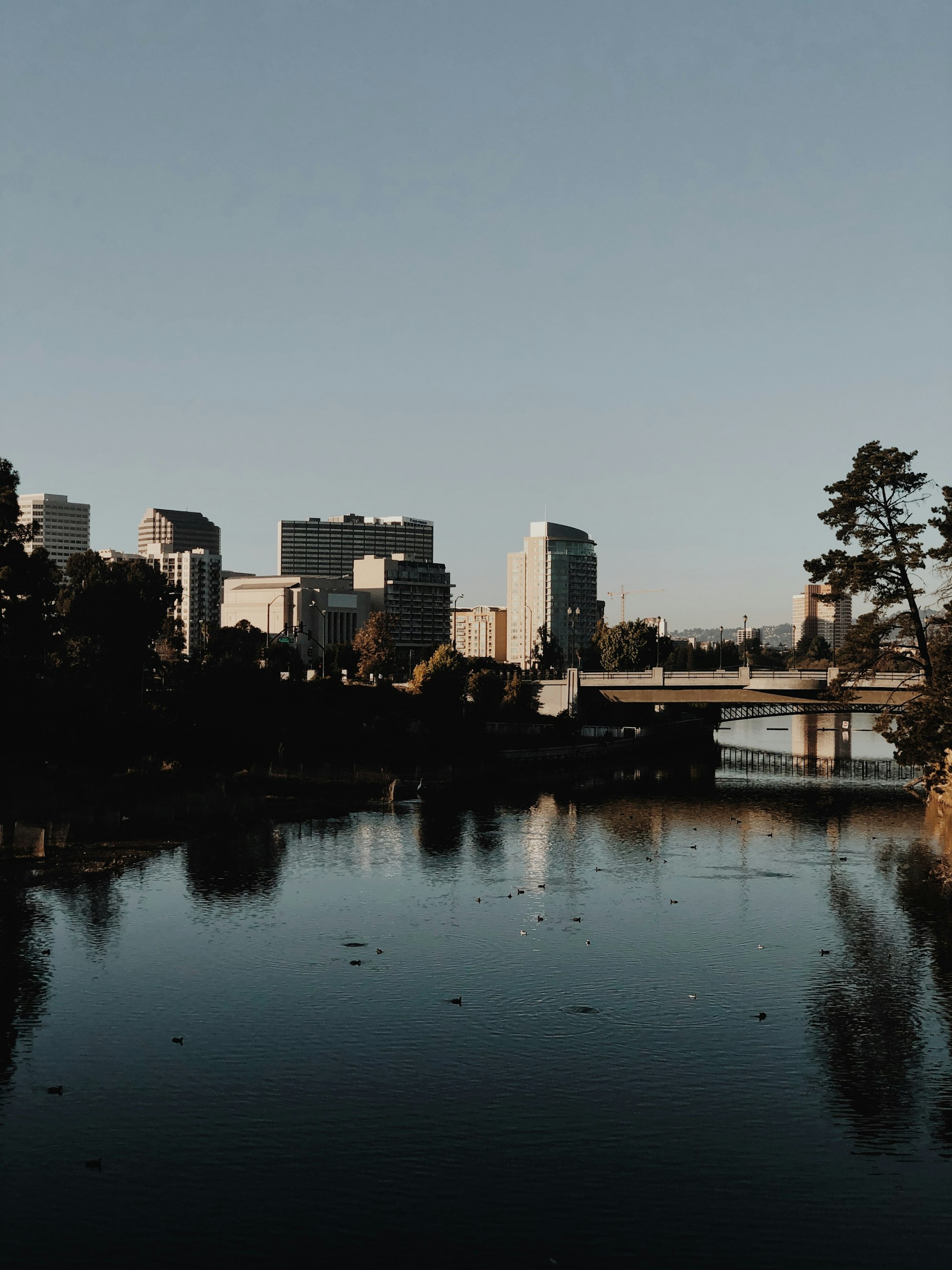 Lake Merritt and the downtown Oakland skyline, representing the city-by-city location pages a bookkeeping SEO company should build