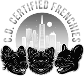 Local SEO San Francisco | Get Page #1 Rankings In 90 Days | J Williams Designs 21 san francisco seo CD TRANSPARENT FILE333